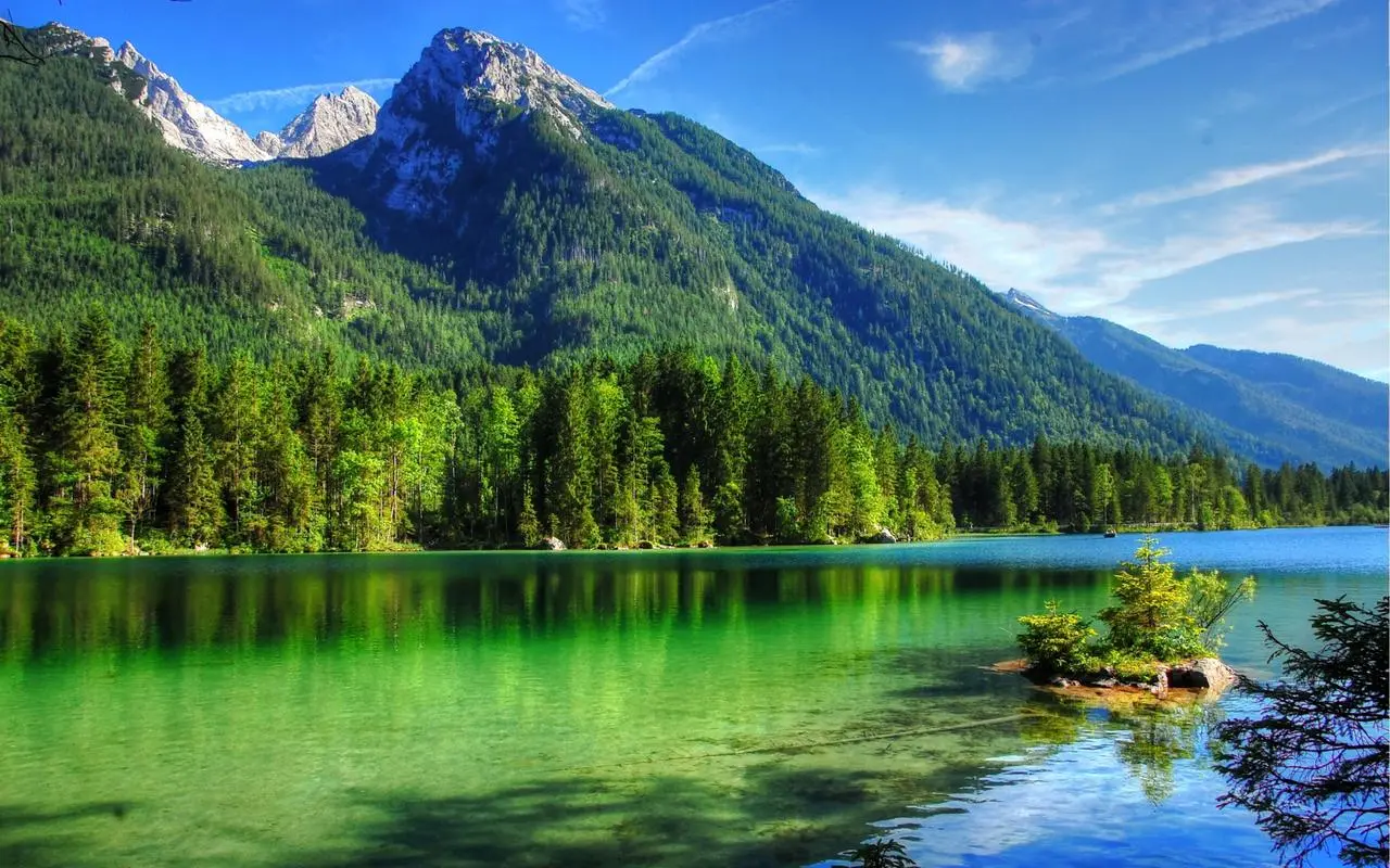 高性能智能化自动化